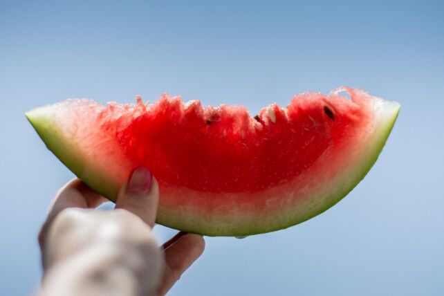 vannmelon skive